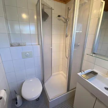 Bolle Damp